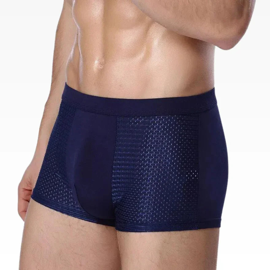 10 PIEZAS - Premium Bamboo Fiber Boxers - FREE SHIPPING 